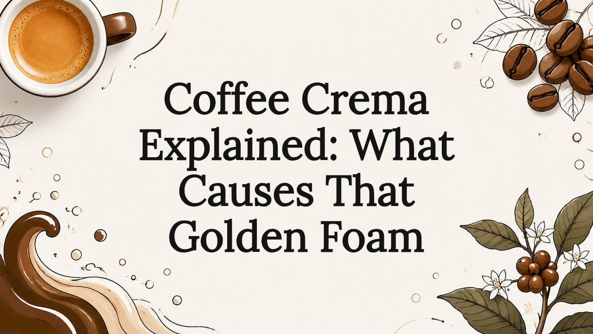 Coffee Crema Explained: What Causes That Golden Foam - Brewvana